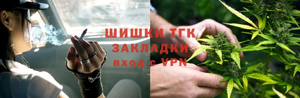 СК Пересвет