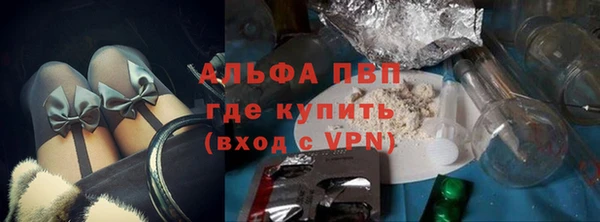 СК Пересвет