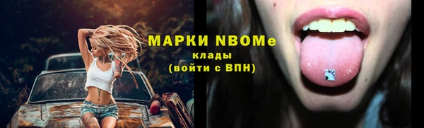 СК Пересвет