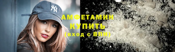 СК Пересвет