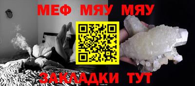 крисы Можга