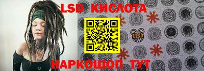 крисы Можга