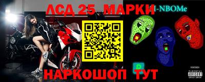 крисы Можга