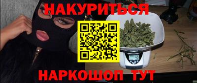 крисы Можга