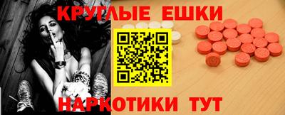 крисы Можга