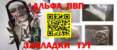 крисы Можга