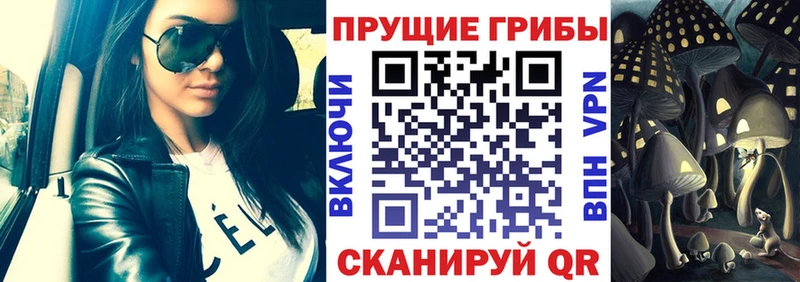где купить наркотик  blacksprut вход  Псилоцибиновые грибы GOLDEN TEACHER  Советск 