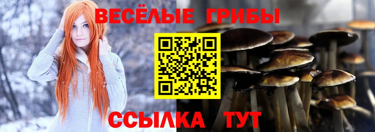 Советск  дарнет шоп  Вход с VPN  Галлюциногенные грибы мицелий 