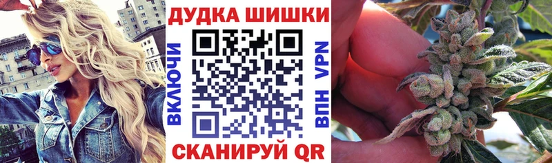 Бошки Шишки семена Советск