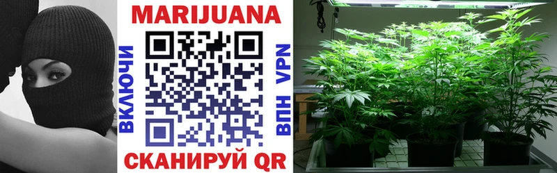 Канабис SATIVA & INDICA  Советск 